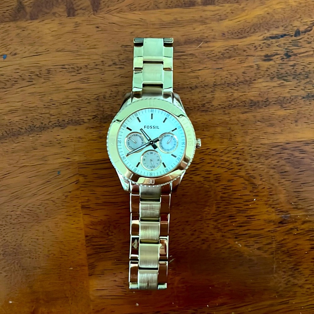 Fossil Watch